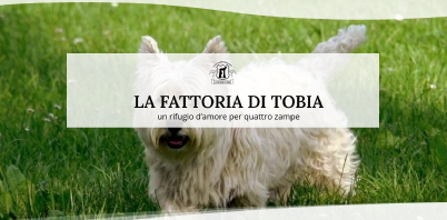 federico-drago-design